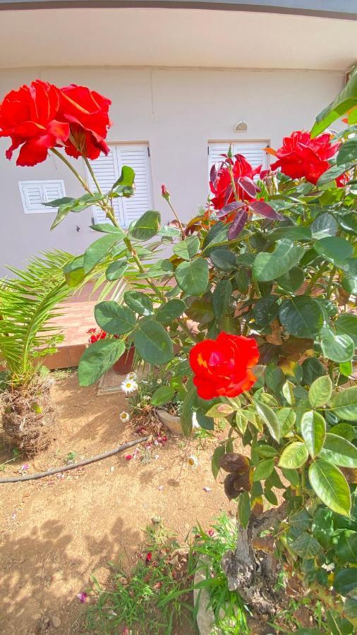 Maria & Zachos House Villa Kíssamos Екстериор снимка